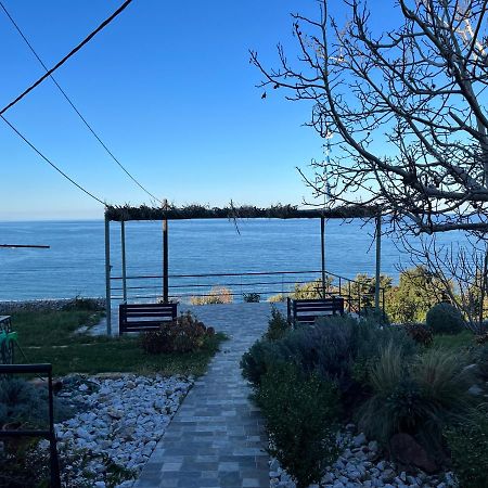 Villa Leonidas Koutsoupia Kókkinon Nerón Dış mekan fotoğraf
