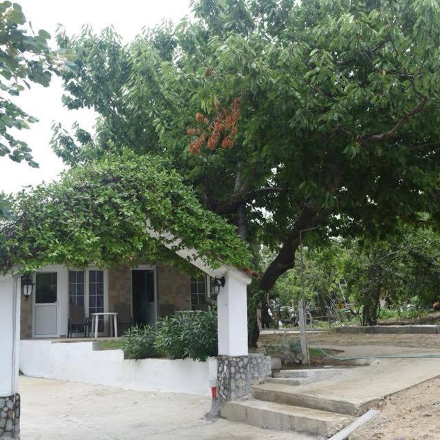 Villa Leonidas Koutsoupia Kókkinon Nerón Dış mekan fotoğraf
